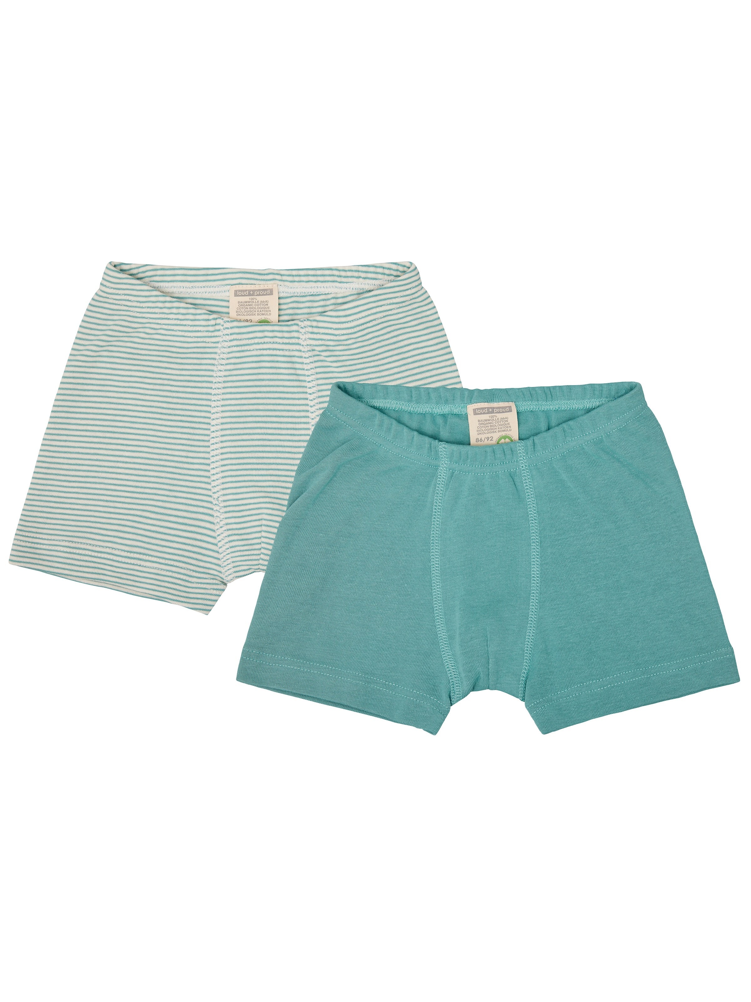 loud + proud Underpants in Green: front