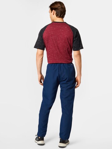 ADIDAS SPORTSWEAR Regular Workout Pants 'Entrada 22' in Blue