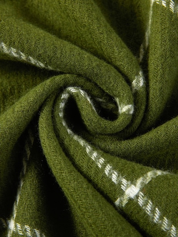 alberto cabale Scarf 'Line' in Green