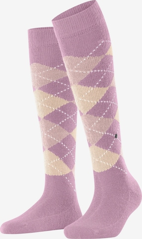 BURLINGTON Overknee Strümpfe 'Whitby' in Lila: Vorderseite