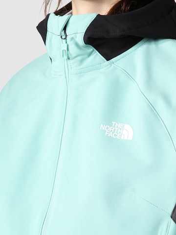 THE NORTH FACE Zunanja jakna | zelena barva