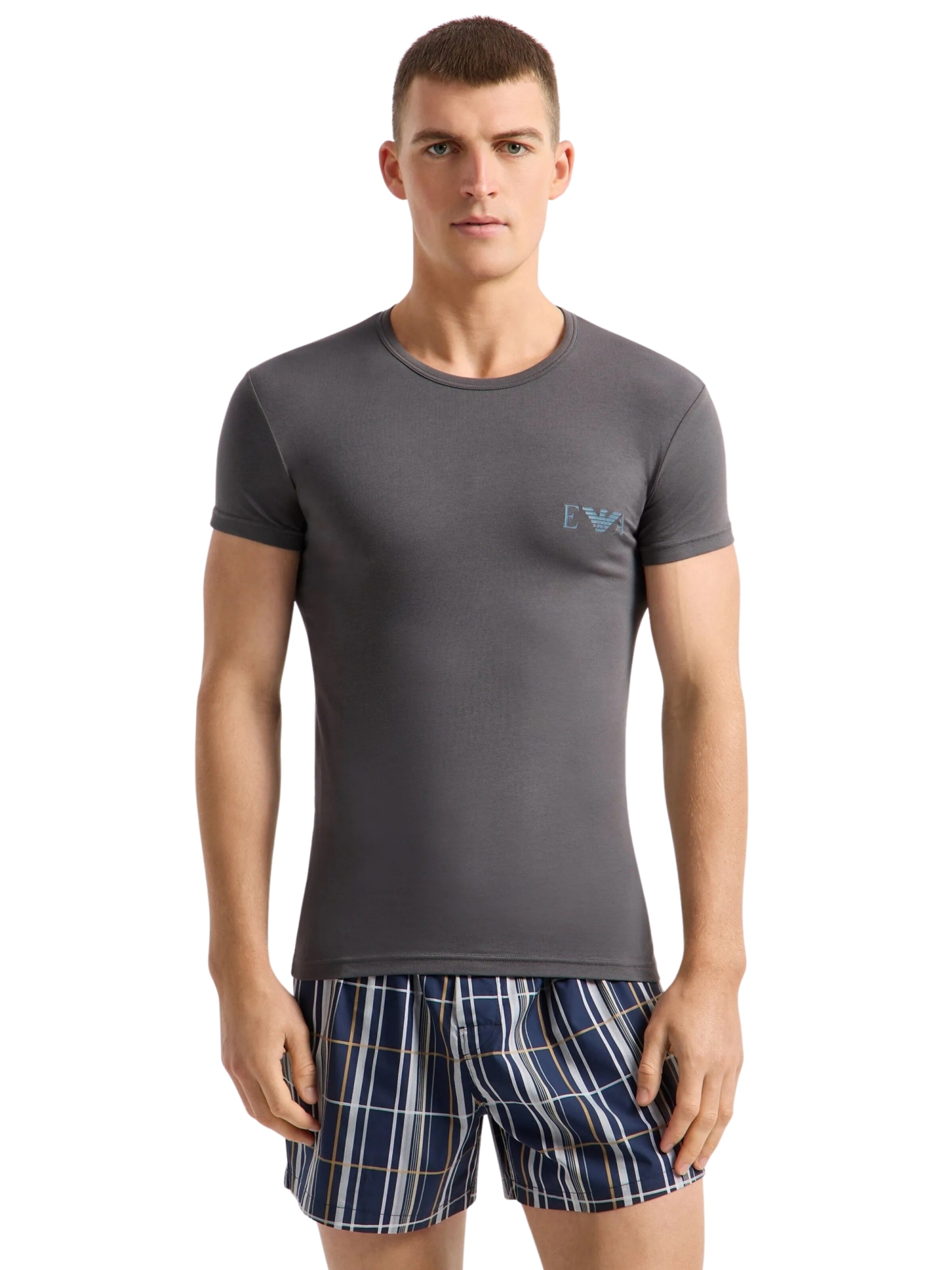 Emporio Armani Shirt in Grey: front