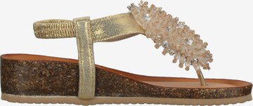 IGI&CO Teenslipper in Goud