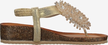 IGI&CO T-Bar Sandals in Gold