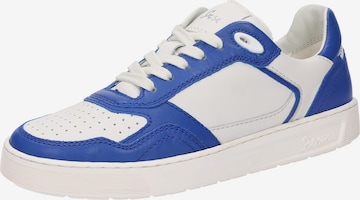 Baskets basses 'Tedroso' SIOUX en bleu : devant