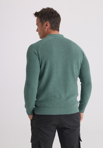 Felix Hardy Pullover in Grün