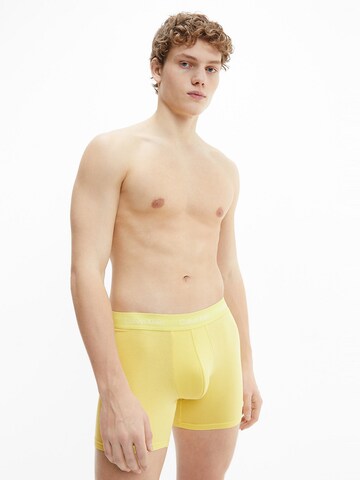 Calvin Klein Underwear Обычный Шорты Боксеры в Бежевый: спереди