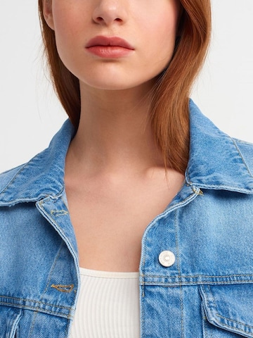 Dilvin Jacke in Blau