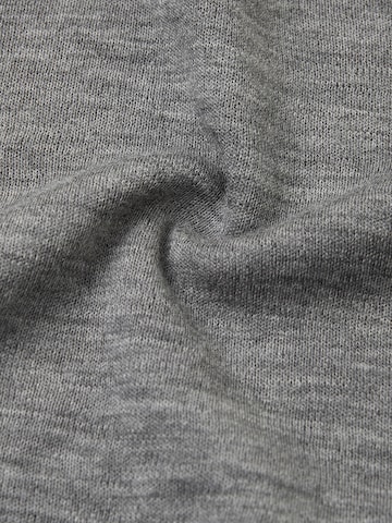 Reima Gloves 'Eino' in Grey