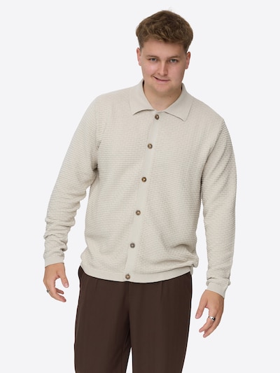 Dxnmxrk Pullover 'DXFabiano' in stone, Produktansicht
