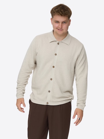 Dxnmxrk Trui 'DXFabiano' in Grijs: voorkant