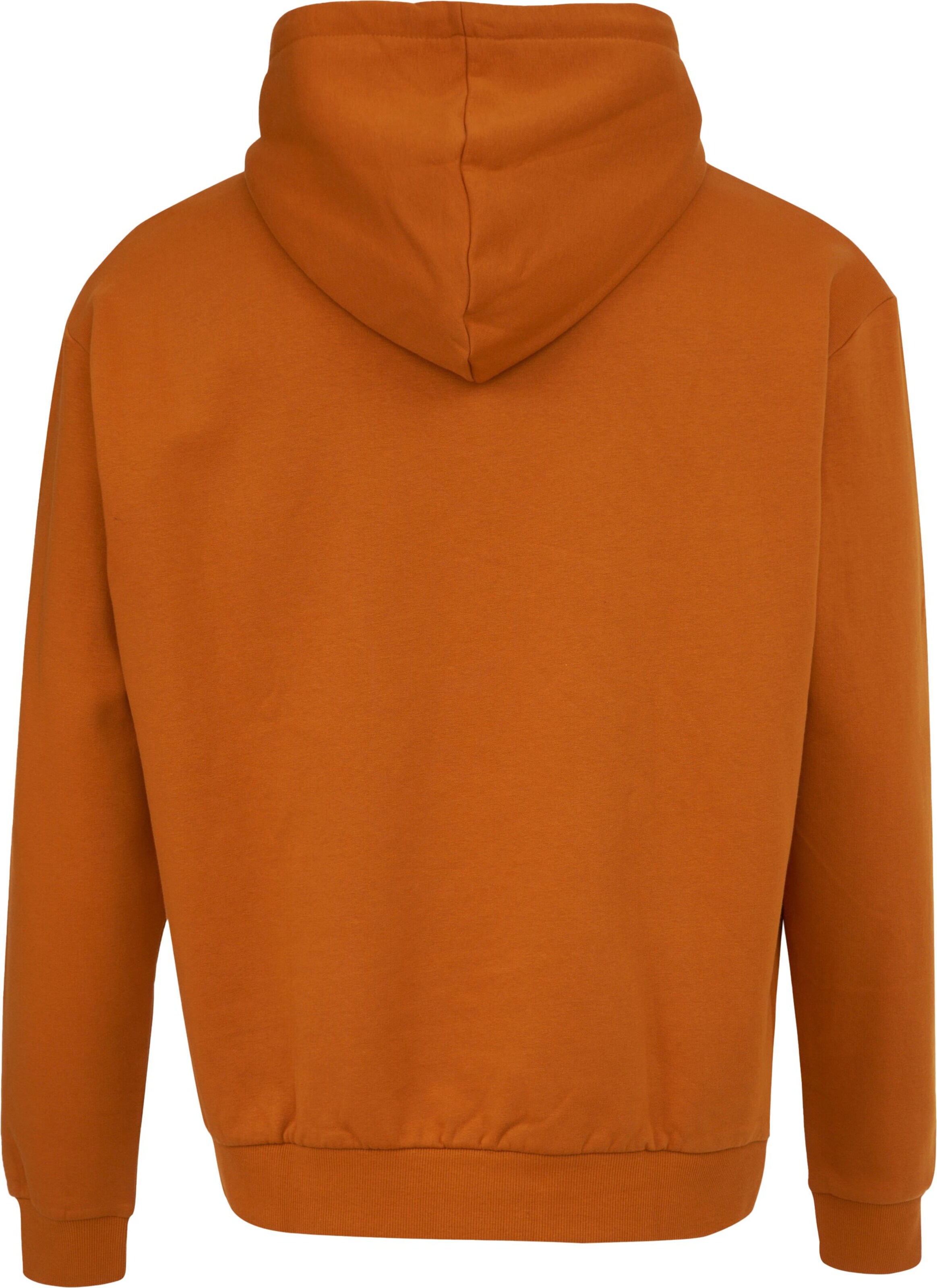 Karl Kani Sweatshirt in Braun