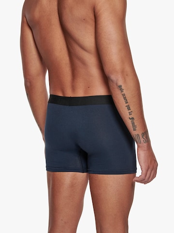 Adam Boxershorts '6er Pack'‌‌‌‌ in Blau
