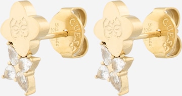 GUESSNaušnice - zlatna boja: prednji dio