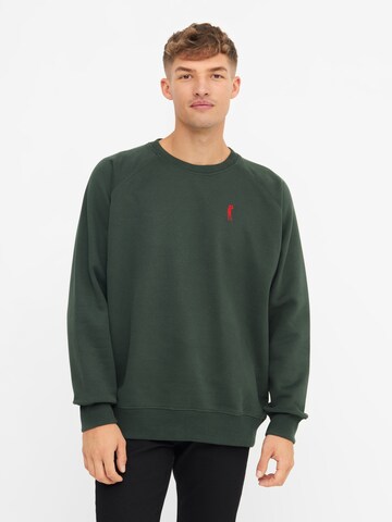 Derbe Sweatshirt in Grün: Vorderseite