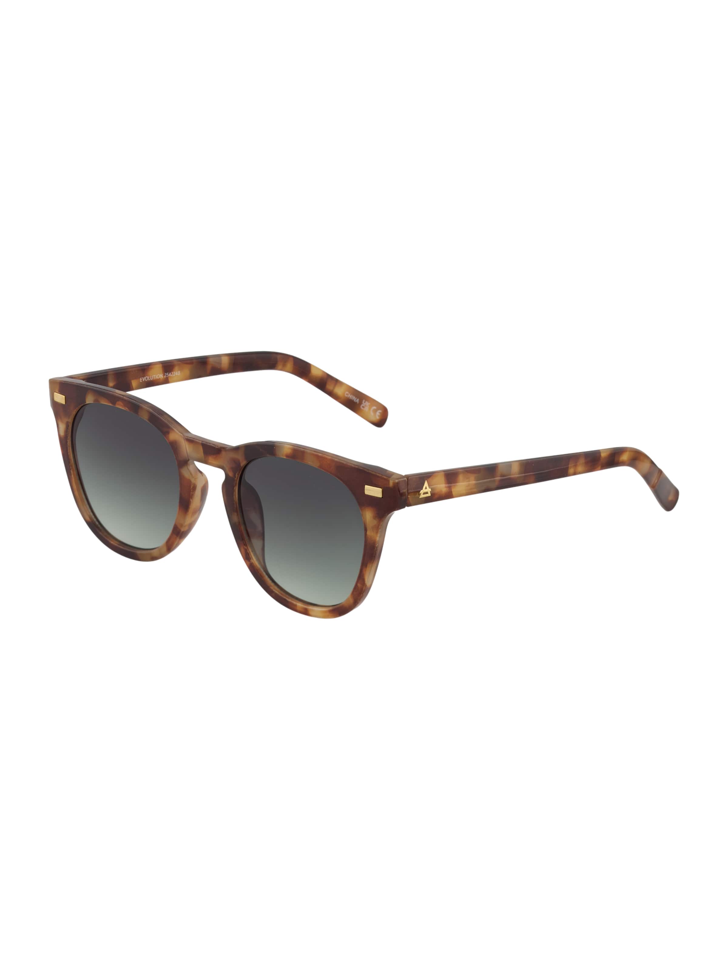 Aire Sunglasses 'EVOLUTION' in Brown: front