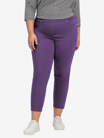 SHEEGO Slim fit Pants in Purple: front