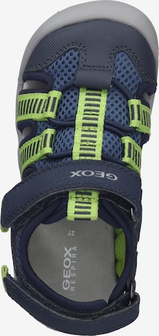 Chaussures ouvertes GEOX en bleu