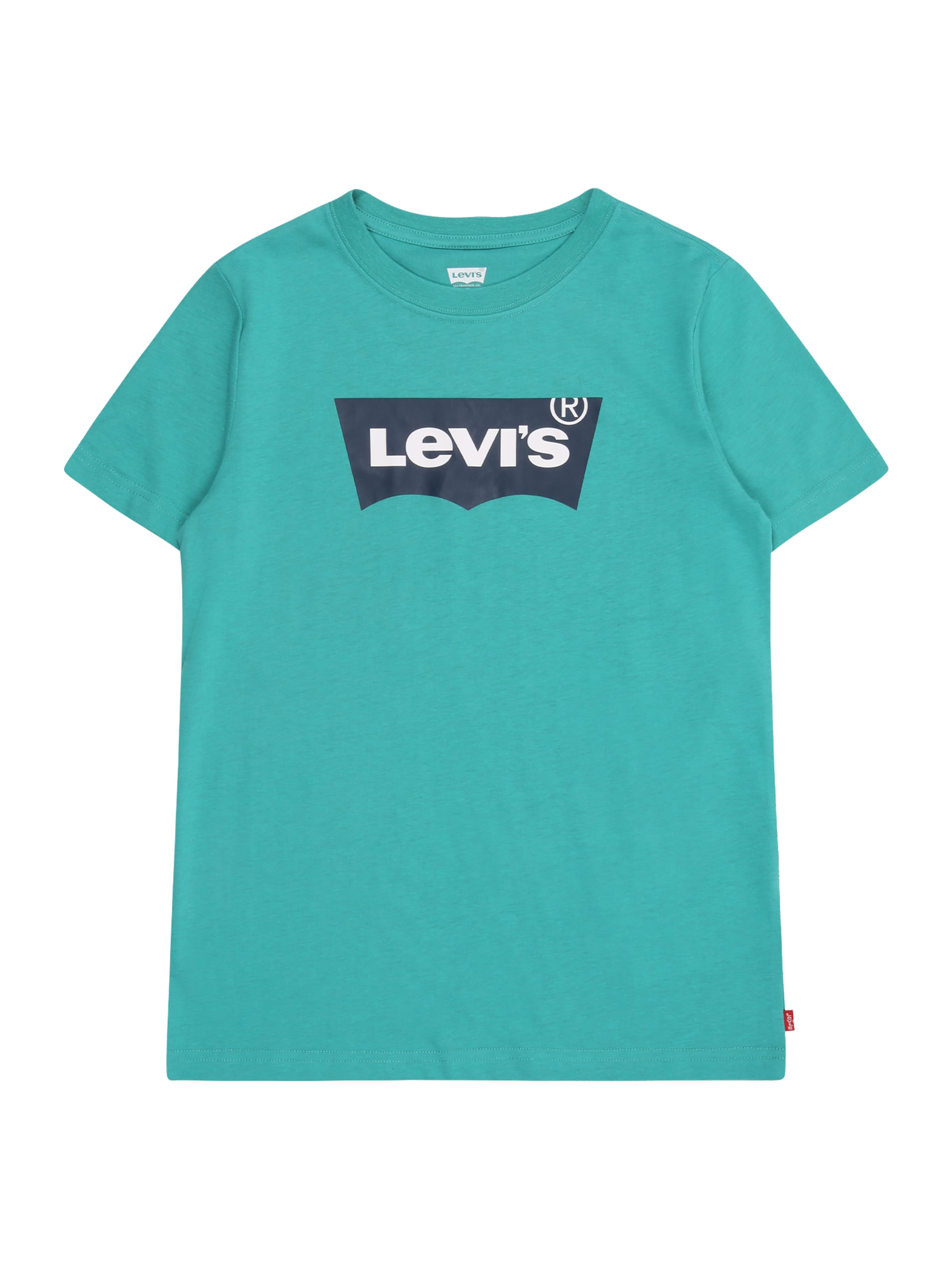 Levi's Kids Shirts i grøn: forside