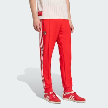 ADIDAS ORIGINALS Tapered Trousers 'Benfica Lissabon Terrace Icons' in Red: front