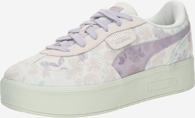 PUMA Tenisky 'Palermo Elevata Senorita' - starobéžová / šeříková / pudrová / bílá, Produkt