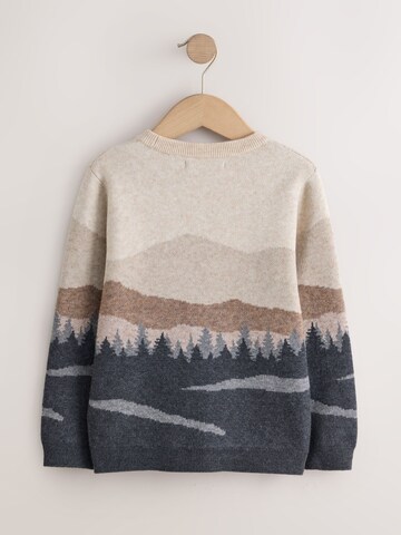 Pull-over 'Mountain' Next en marron