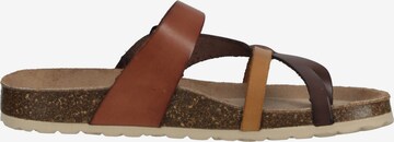 COSMOS COMFORT Mules in Brown