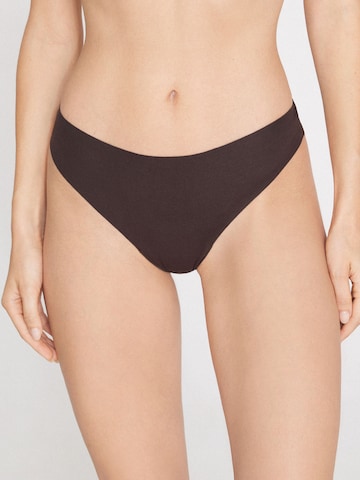 Tezenis Thong in Brown: front