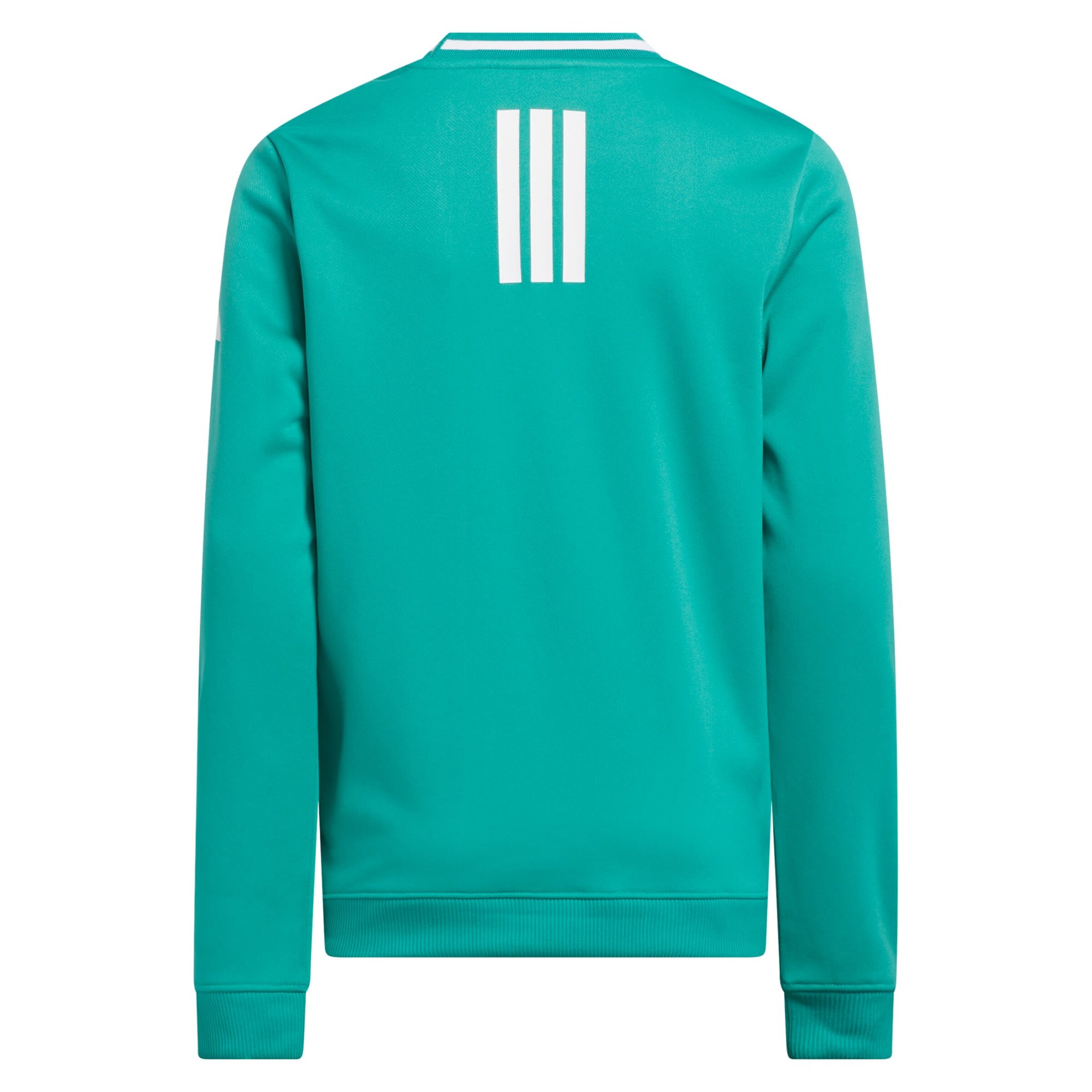 ADIDAS PERFORMANCE - Camiseta deportiva 'Sport Crewneck Sweater' en verde