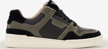 AllSaints Matalavartiset tennarit 'REGAN PLUS' värissä vihreä: etupuoli