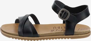 Sandalo con cinturino di Blowfish Malibu in nero