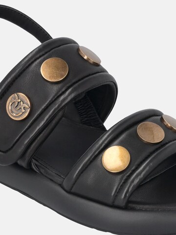 Scarpa stringata di PINKO in nero