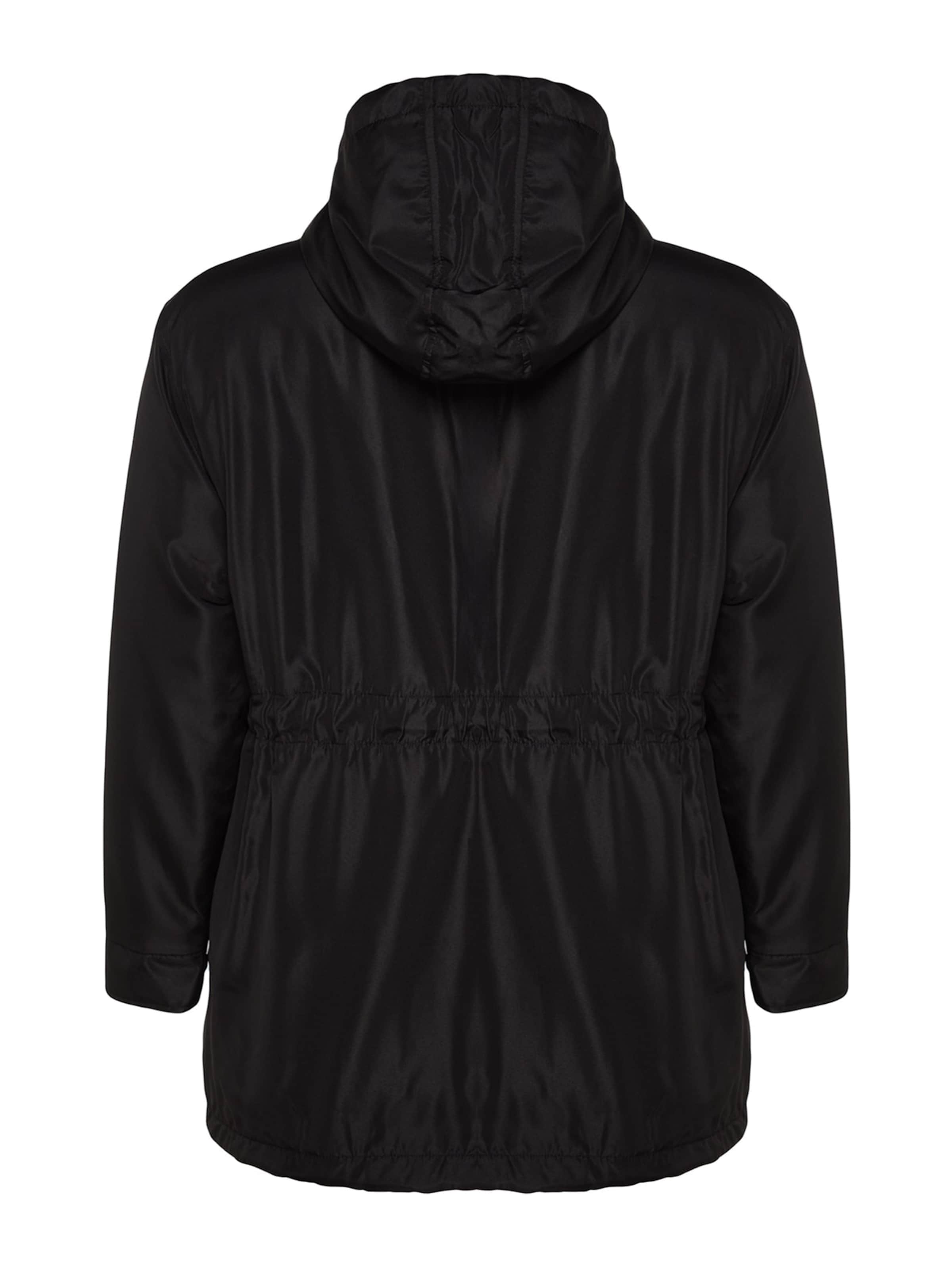 Trendyol Curve Winter parka in Black
