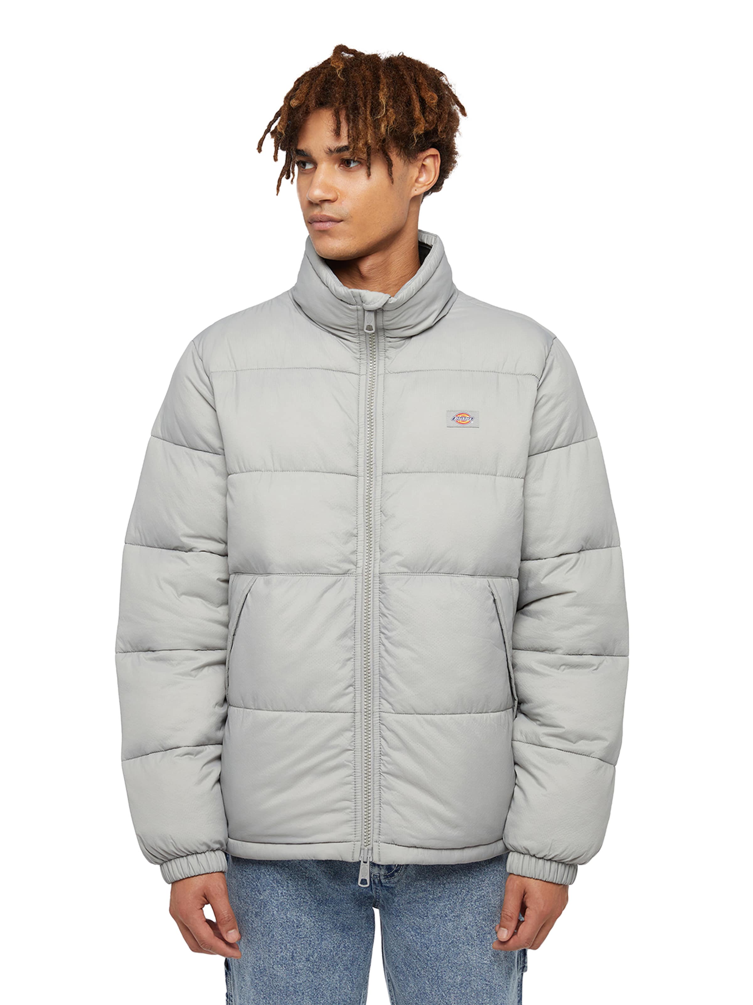 Giacca invernale 'Waldenburg' di DICKIES in grigio: frontale