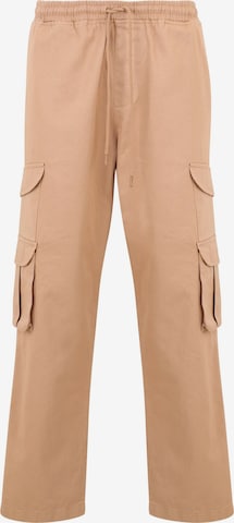 Pantalon cargo 'Pure' DEF en marron : devant