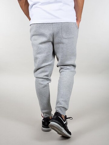 ALPHA INDUSTRIES Regular Hose 'Basic AI'‌ in Grau