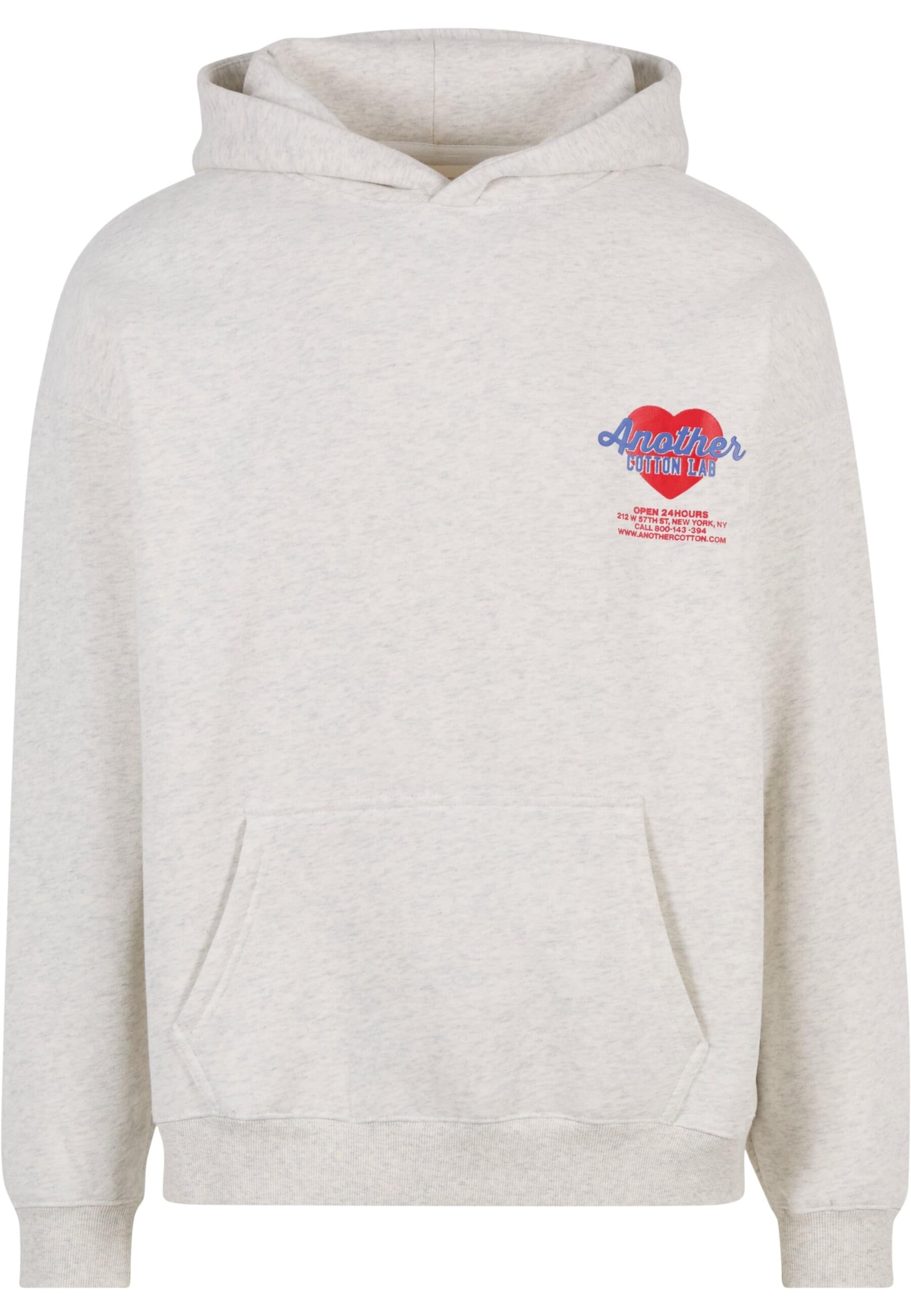 Another Cotton Lab - Sudadera 'Late Delivery' en gris: frente