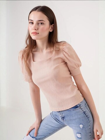 Bigdart Blouse in Brown