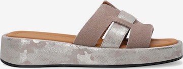 VENEZIA Mules 'Venezia' in Grey: front
