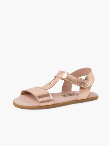 Sandales Pisamonas en marron