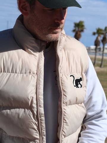 Surf Monkey - Chaleco deportivo 'Pufferweste' en beige