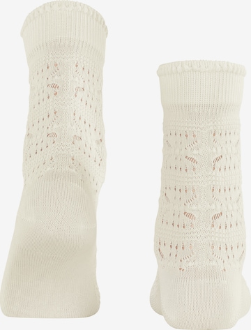 FALKE Κάλτσες σε λευκό