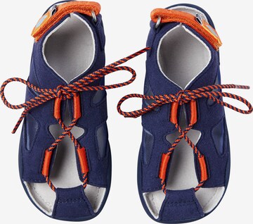 Affenzahn Sandals & Slippers 'Elefant' in Blue