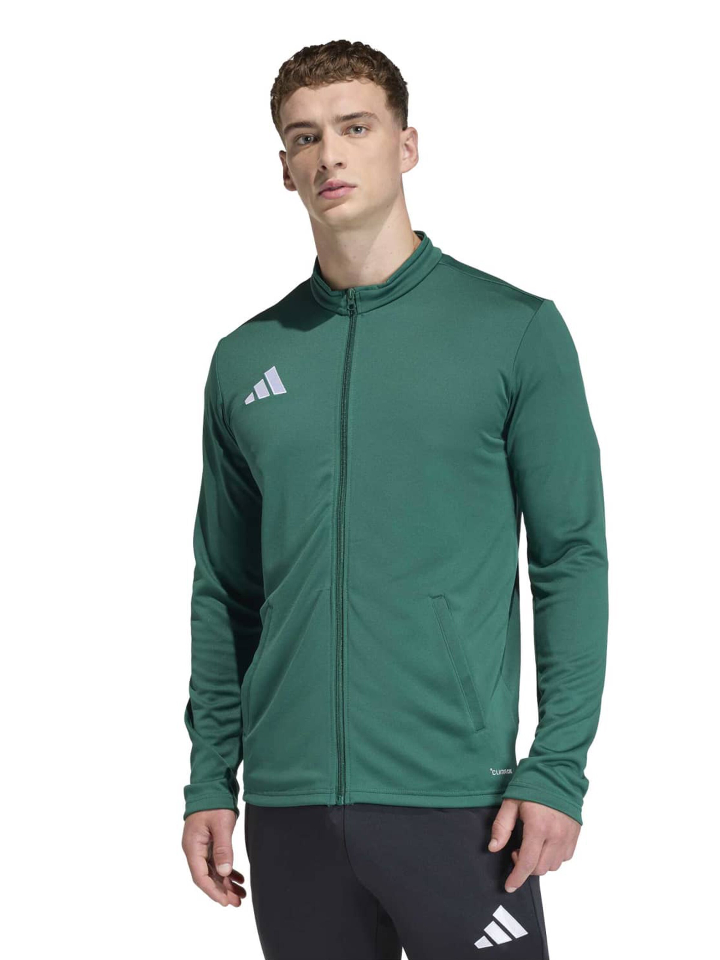 Veste de sport 'ENT26' ADIDAS PERFORMANCE en vert : devant