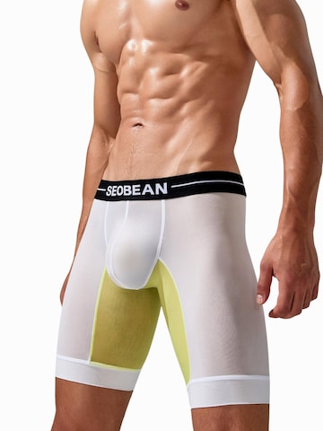 SEOBEAN Lange Unterhose‌‌‌‌ in Weiß: Vorderseite