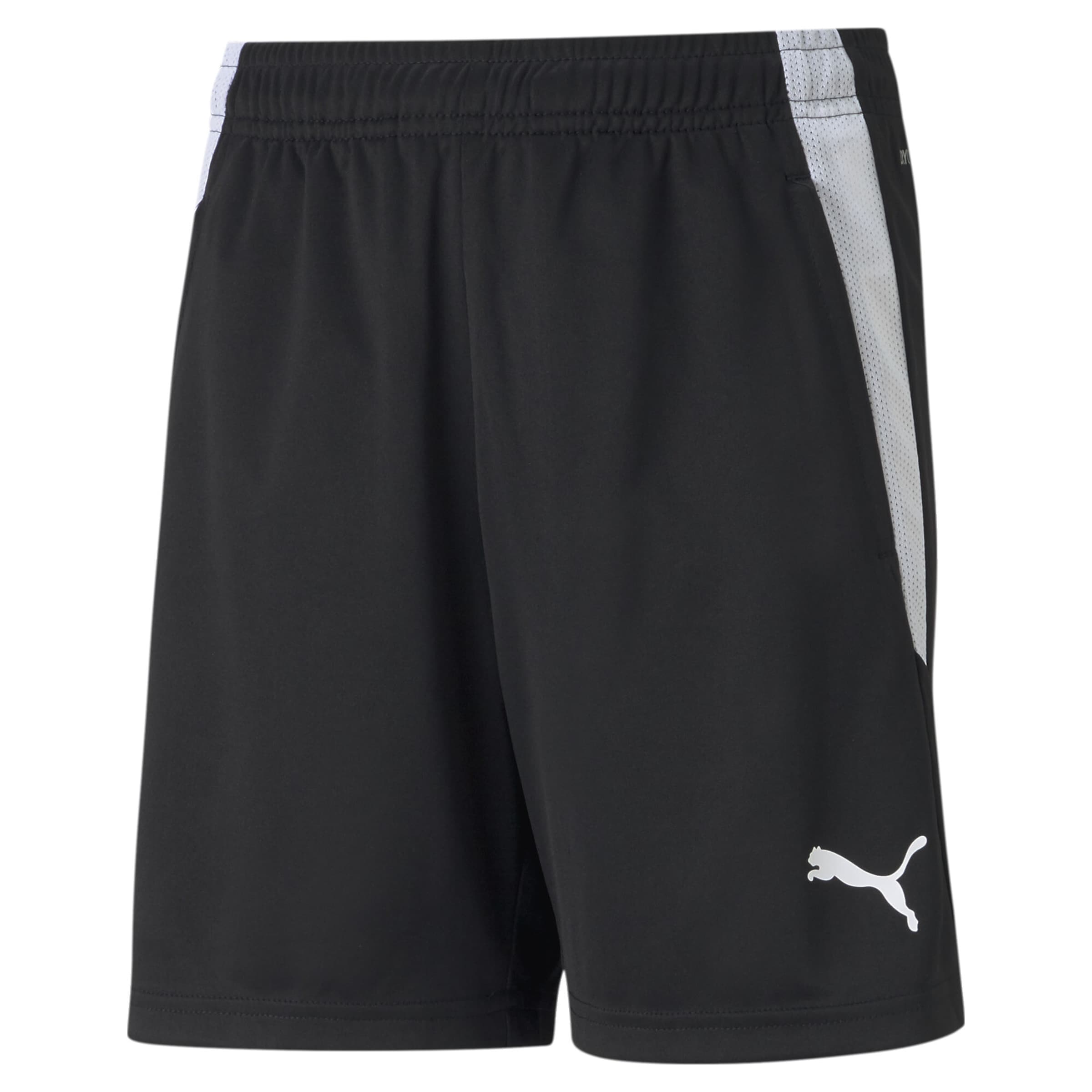 PUMA Regular Sportshorts 'TeamLiga' in Schwarz: Vorderseite
