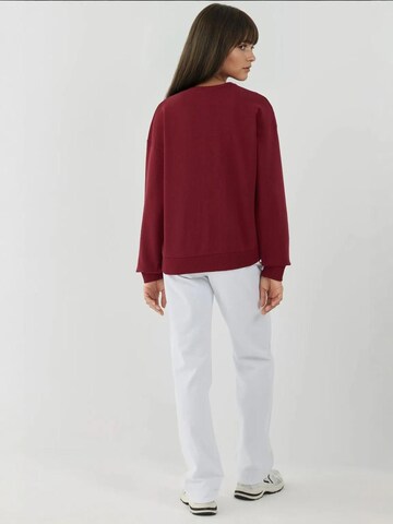 Sweat-shirt 'Sweatshirts' Hiccup en rouge