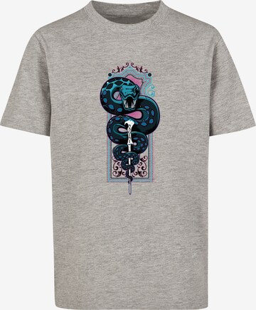 F4NT4STIC T-Shirt 'Harry Potter Neon Nagini' in Grau: predná strana