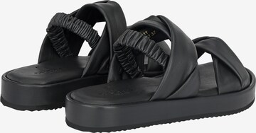 Crickit Strap Sandals ' JANEKE ' in Black