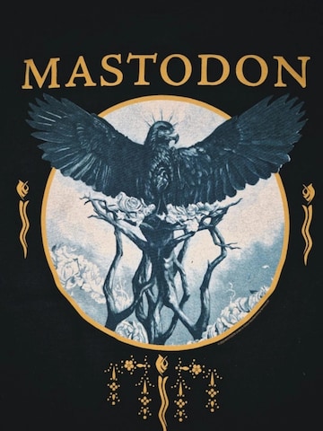 Mastodon Koszulka 'Mastodon Hush and Grim T-Shirt' w kolorze czarny